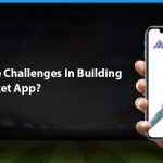 Challenges of fantasy cricket app development