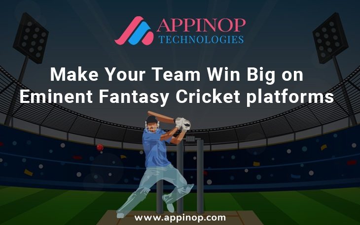 Make your team win on fantasy cricket platforms