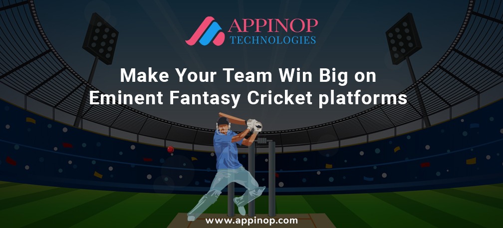 Make your team win on fantasy cricket platforms