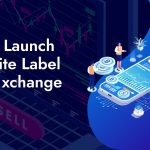 white-label cryptocurrency exchange software development detailed guide