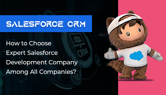 Salesforce Development Company